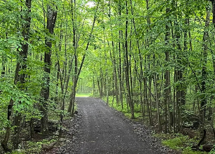 Secluded Poconos Cabin: 75 Acres & Fire Pit!